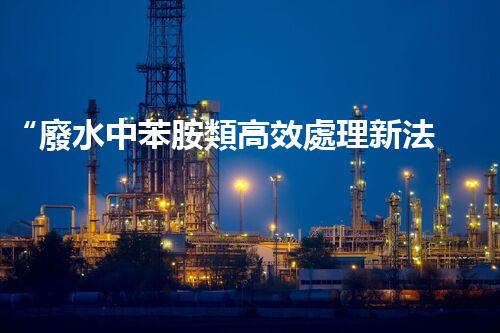 “廢水中苯胺類高效處理新法，環(huán)保先鋒引領綠色以后”